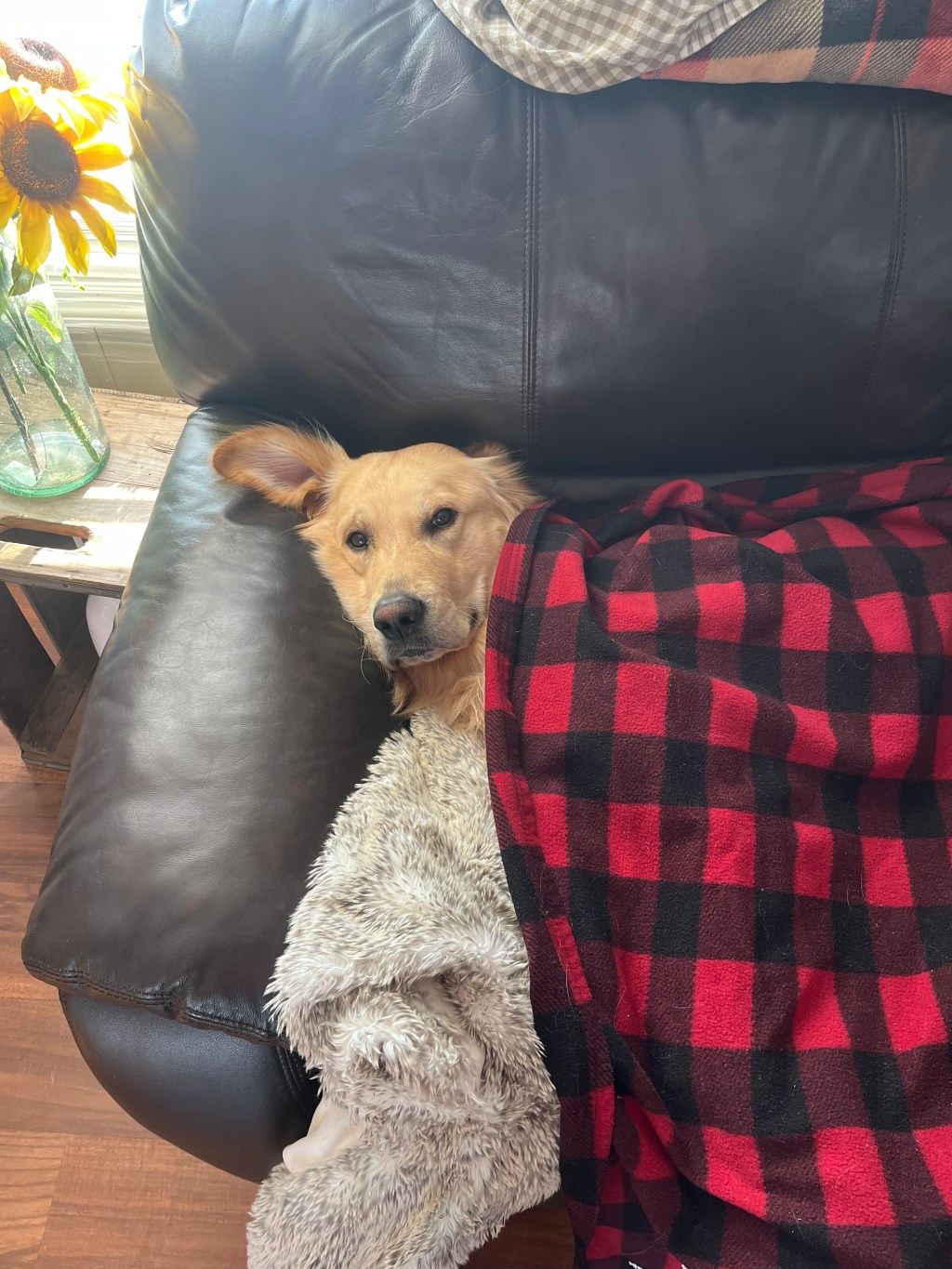 Naturally Gifted in All the Wrong&nbsp;Ways