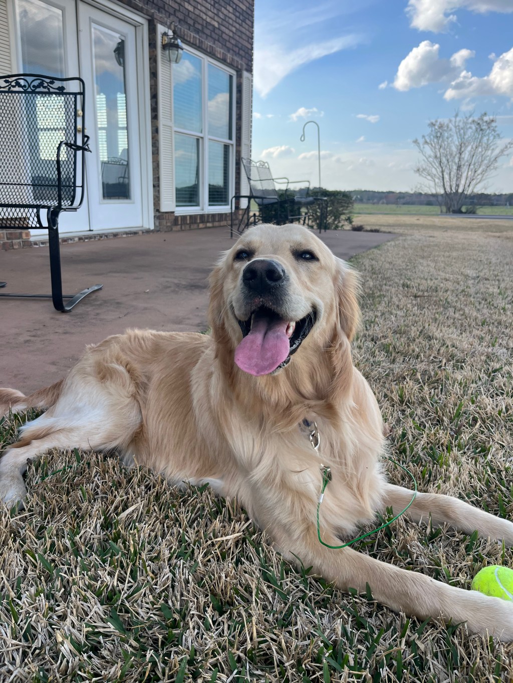 A Wreck of a&nbsp;Wednesday